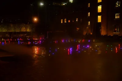 DSC_0710 (Large).JPG